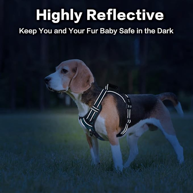 PoyPet No Pull Dog Harness, No Choke Front Clip Reflective Dog Vest with Soft Padded Vertical Handle, 3 Leash Attachments for Small Medium Large Dogs (Tumalo Teal,S)