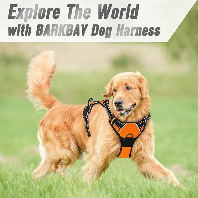 BARKBAY No Pull Dog Harness Front Clip Heavy Duty Reflective Easy Control Handle for Large Dog Walking(Orange,L)