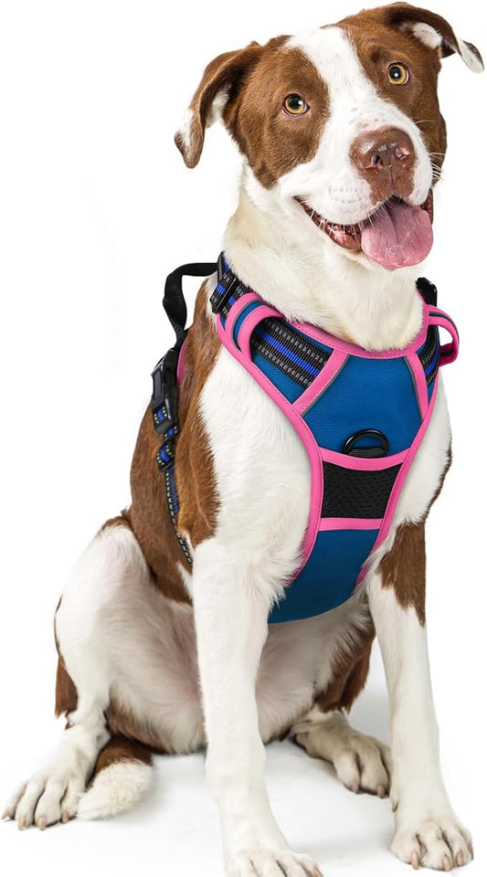 rabbitgoo Dog Harness No Pull with 2 Leash Clips, Adjustable Soft Padded, Reflective Oxford No Choke Pet Vest with Easy Control Handle for Large Dogs, Blue & Hot Pink, L