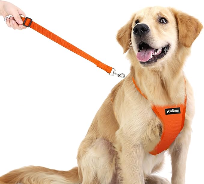 Dog Seat Belt, Safety Vest Dog Car Harness with Adjustable Buckle Dog Seat Belt for Vehicle Nylon Pet Safety Seat Belts Heavy Duty(M, Orange)