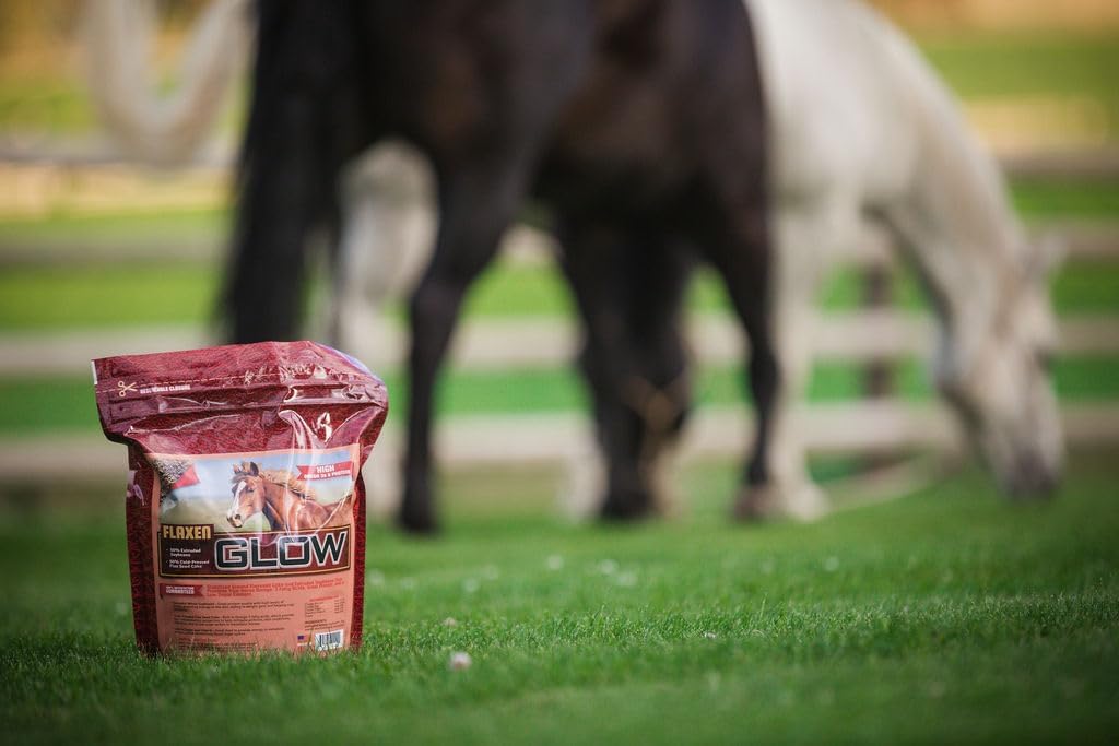 Glow 10 lb, Aids in Weight Gain and Improves Coat and Condition, Includes Omega-3’s