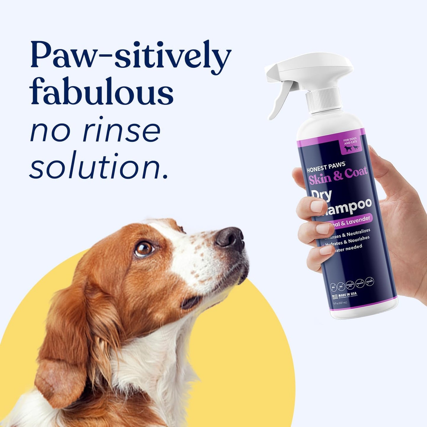 Honest Paws Dog Dry Shampoo - Waterless No Rinse Foaming Formula Reducing Itch Cleanse Hydrate Nourish Dry Skin and Smelly Coat Help Decrease Odor Shedding and Allergies - Oatmeal & Lavender - 8 fl oz