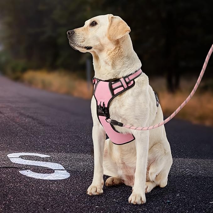 IVY&LANE No Pull Dog Harness for Large Dogs, Reflective Dog Vest Harness with Leash, Safety Belt and Storage Strap, Fully Adjustable Harness with Soft Handle (Pink, L)