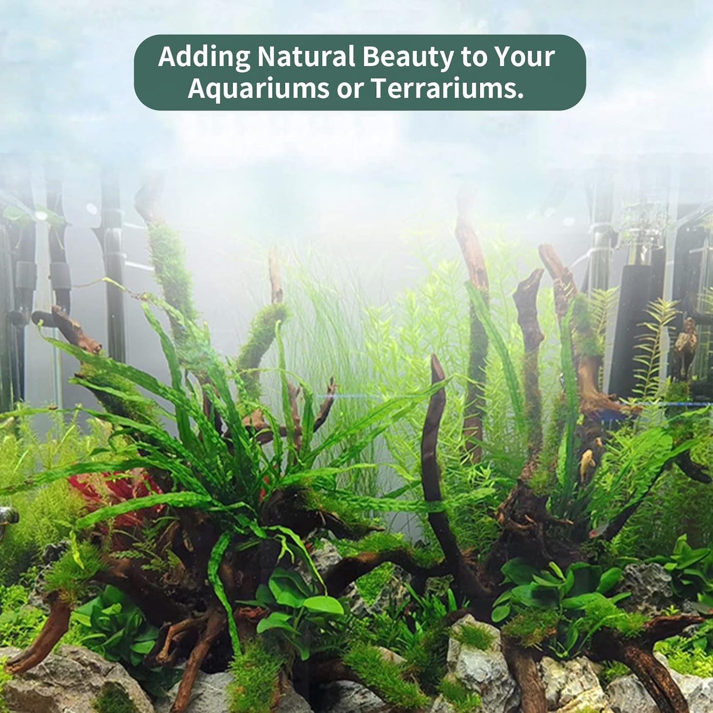 Hamiledyi 12Pcs Small Driftwood for Aquarium 4.1"-7.2" Driftwood Branches Aquarium Wood Decoration Natural Fish Tank Habitat Decor Wood for Lizard Assorted Size