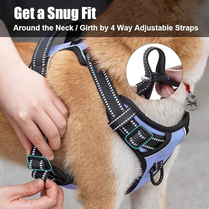 PoyPet No Pull Dog Harness, Reflective Comfortable Vest Harness with Front & Back 2 Leash Attachments and Easy Control Handle Adjustable Soft Padded Pet Vest for Small to Large Dogs (Light Blue,XS)
