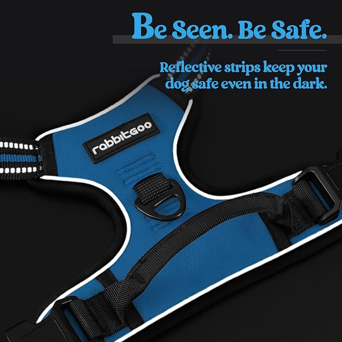 rabbitgoo Dog Harness No Pull with 2 Leash Clips, Adjustable Soft Padded, Reflective Oxford No Choke Pet Vest with Easy Control Handle for Large Dogs, Blue, XL