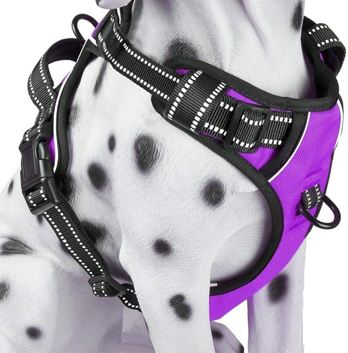 PoyPet No Pull Dog Harness, Reflective Comfortable Vest Harness with Front & Back 2 Leash Attachments and Easy Control Handle Adjustable Soft Padded Pet Vest for Small to Large Dogs (Purple,XS)
