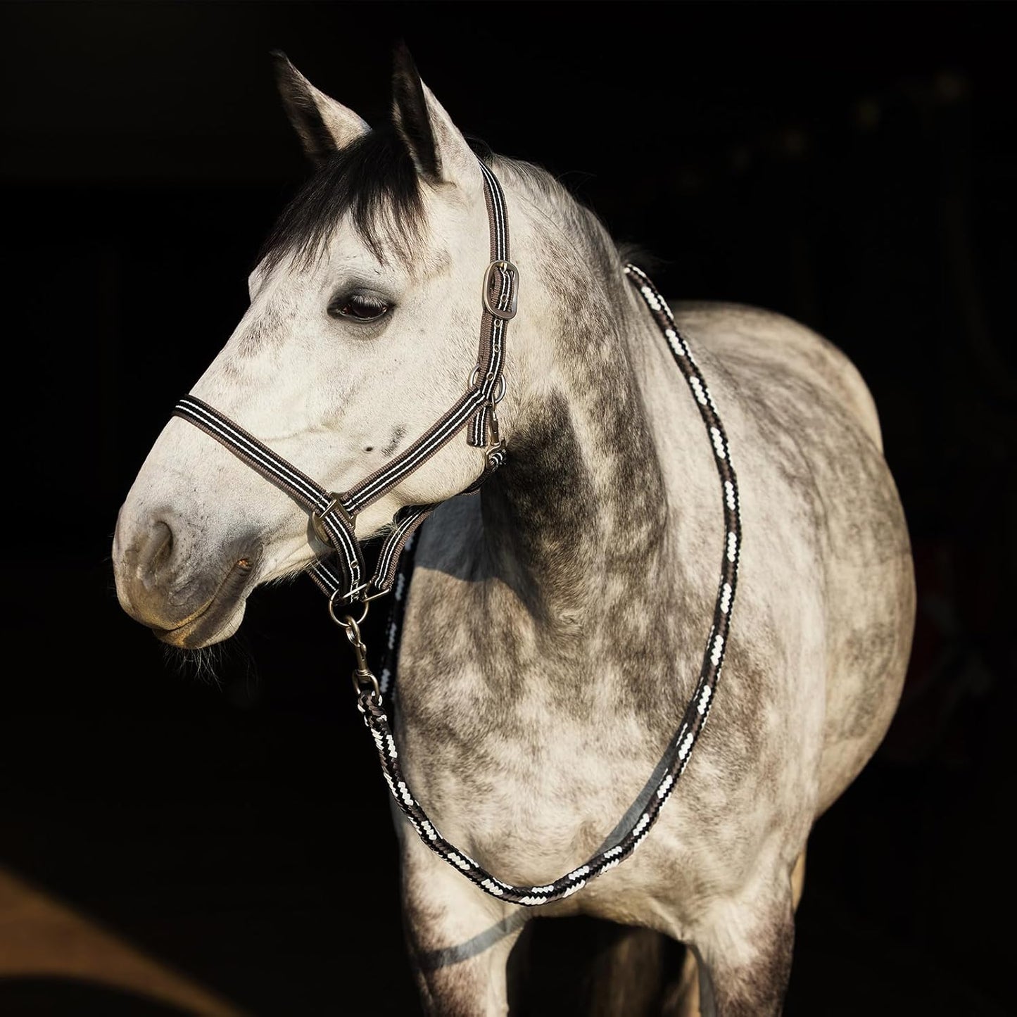 HORZE Adepto Adjustable Horse Halter | Soft, Durable Polyester - Dark Navy - Horse