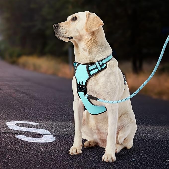 IVY&LANE No Pull Dog Harness with Leash Set, Reflective No Choke Pet Vest,Adjustable Oxford Dog Vest Harness with Easy Control Handle for Large Dogs (Turquoise,L)
