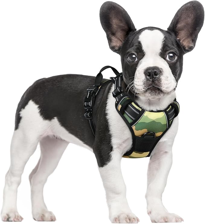 rabbitgoo Dog Harness No Pull with 2 Leash Clips, Adjustable Soft Padded, Reflective Oxford No Choke Pet Vest with Easy Control Handle for Large Dogs, Green Mountain,S