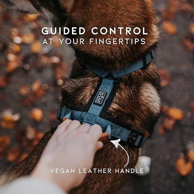 MADE TO ROAM Premium Explorer Harness - Y-Shaped Dog Harness with Adjustable Durable Nylon, Soft Padding, Metal Buckles and Leather Handle for Small, Medium, Large Dogs (Oregon Haze, Size 5)