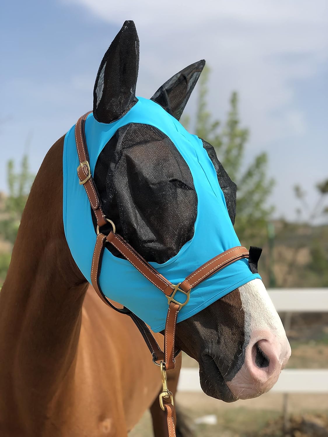 Horse Fly Mask Super Comfort Horse Fly Mask Elasticity Fly Mask with Ears We Only Make Products That Horses Like… (Pacific Blue, M)