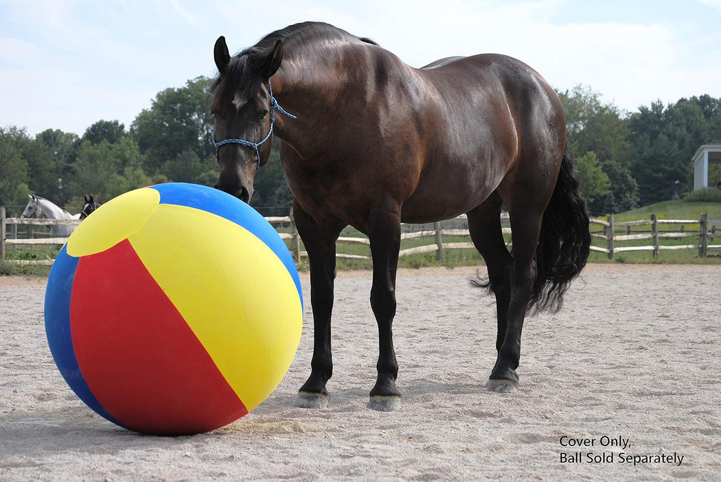Horsemen's Pride Jolly Mega Ball Beach Ball Cover