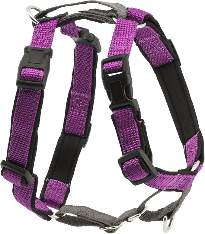 PetSafe 3 in 1 Dog Harness - No Pull Solution for Dogs - Reflective Dog Harness - Front D-Ring Clip Helps Stop Pulling - Comfortable Padded Straps - Top Handle Enhances Control - Plum - Large