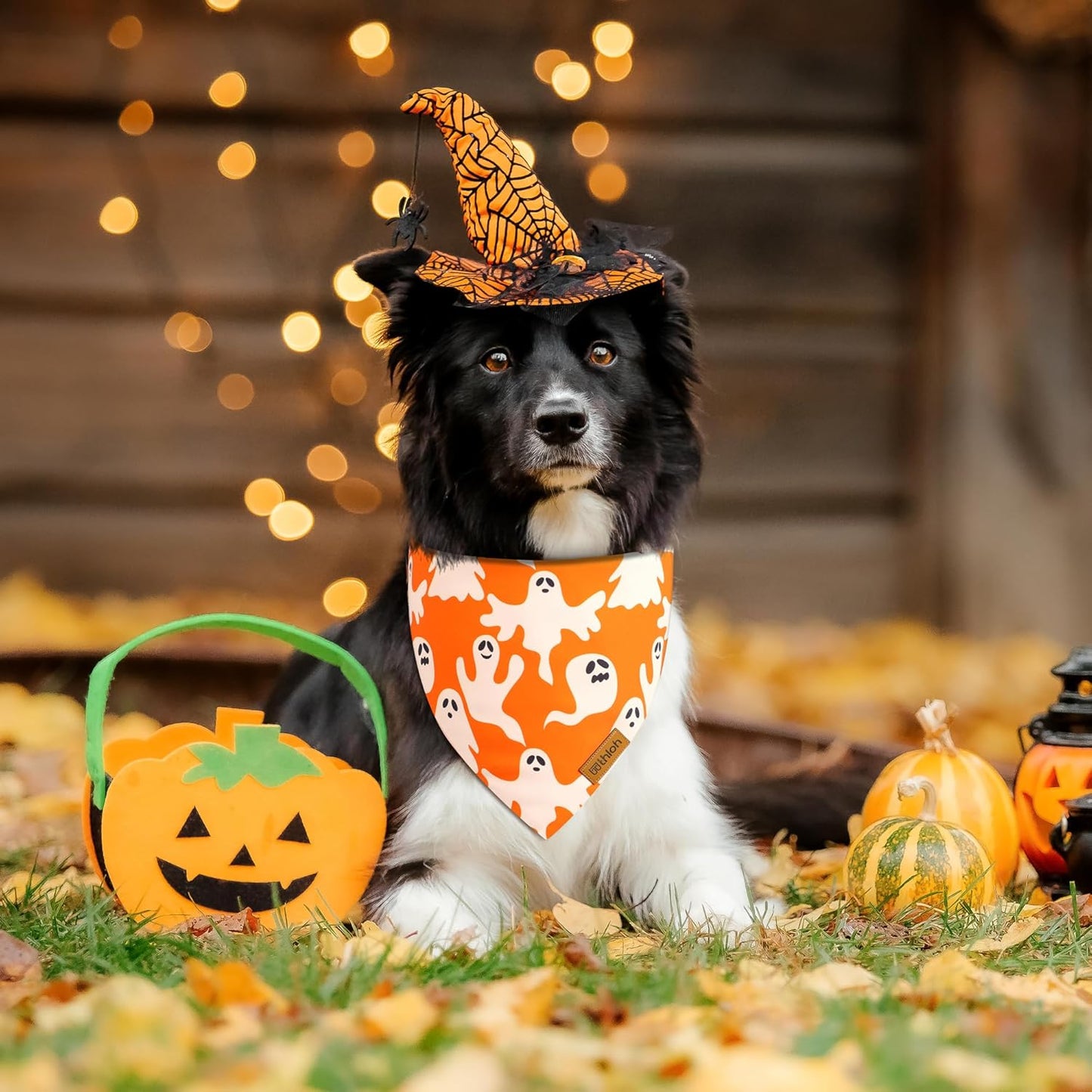 Halloween Dog Bandanas - 2 Pack Fall Dog Bibs | Reversible Pumpkin and Ghost Pet Scarf for Boys and Girls | Premium Durable Fabric | Orange Dog Bandana for Small and Medium Dogs (Small)