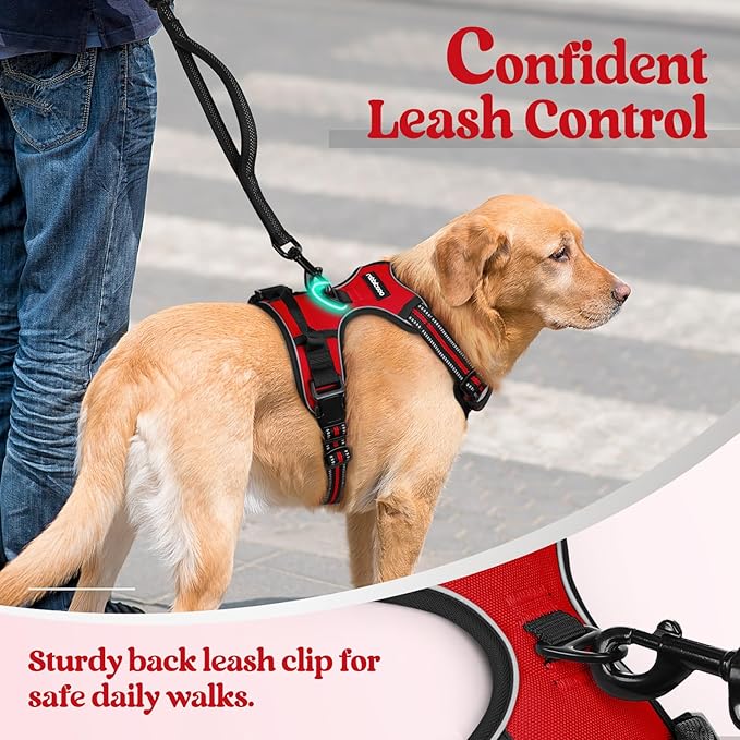 rabbitgoo Dog Harness No Pull with 2 Leash Clips, Adjustable Soft Padded, Reflective Oxford No Choke Pet Vest with Easy Control Handle for Large Dogs, Red, XL