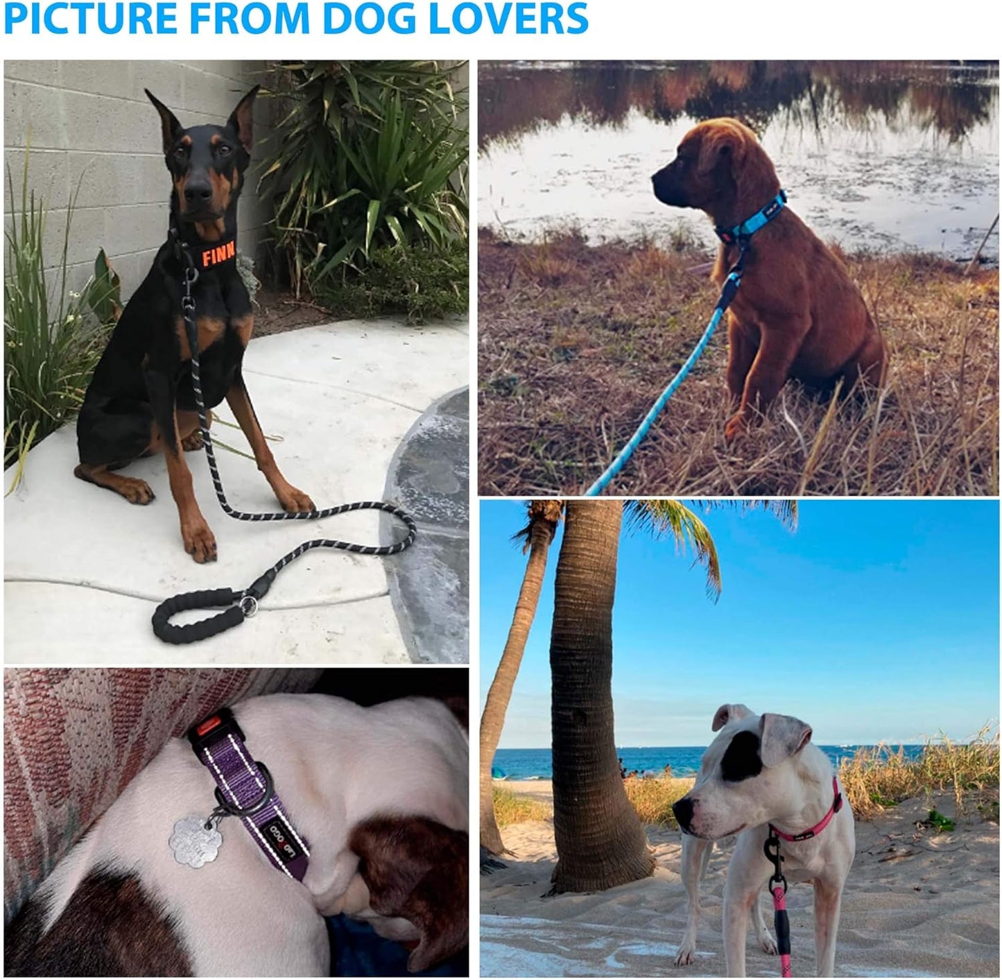 Heavy Duty Dog Leash - Comfortable Padded Handle, 5 ft Long - Dog Leashes for Small Medium Large Dogs (Leash+Collar S Neck 13.5"-16", Blue)