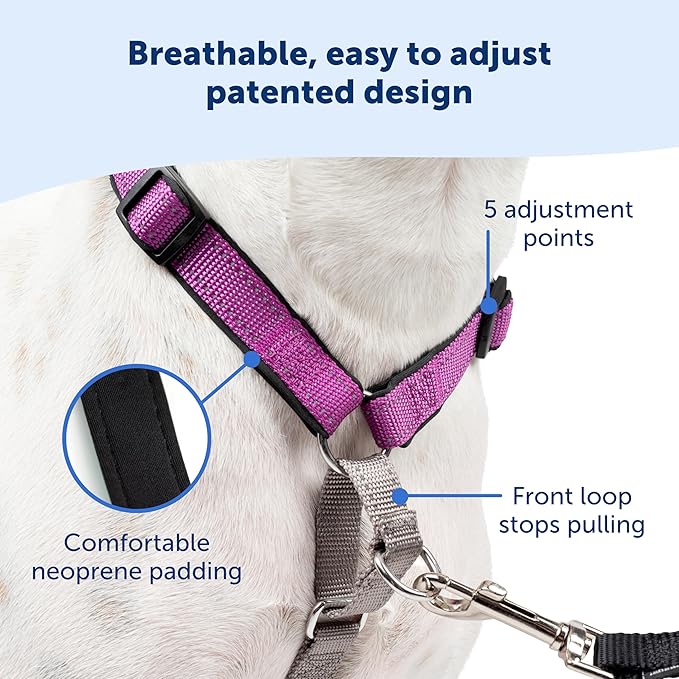 PetSafe 3 in 1 Dog Harness - No Pull Solution for Dogs - Reflective Dog Harness - Front D-Ring Clip Helps Stop Pulling - Comfortable Padded Straps - Top Handle Enhances Control - Teal - Small