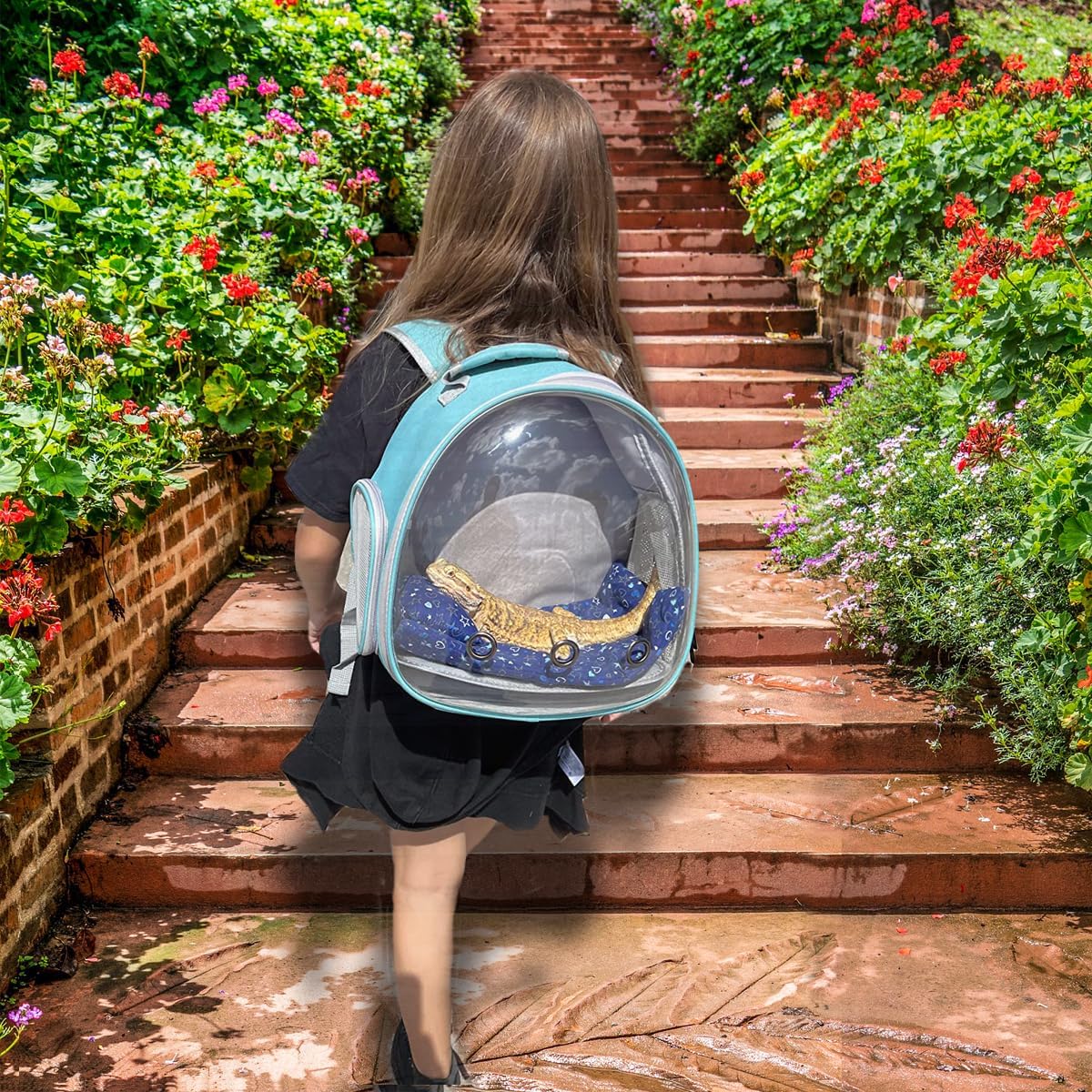 Guinea Pig Backpack Carrier, Bearded Dragon Carrier Backpack with Clear Bubble Window,Small Animal Travel Backpack for Hedgehog Rat,Chameleon,Rabbit,Sugar Glider,Airline Approved (Green, Backpack)