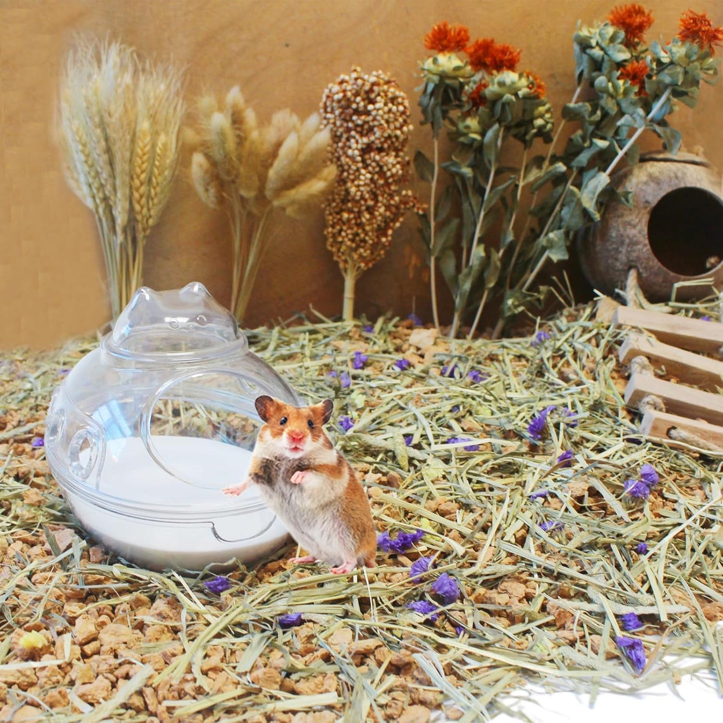 Hamster Bath Sand, 15.4lb Dust Free Desert Sand or Potty Litter Sand for Hamster Chinchillas Gerbil Syrian Mice Small Animals(White)