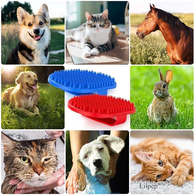 Lilpep Dog Bath Brush, Rubber Pet Shampoo Brush with Silicone Bristles for Massaging Grooming, Removing Short Haired Dogs Cats Shedding, Tangles and Dead Undercoat(Red, plum brush)