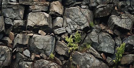 48X20IN Stone Aquarium Background, Rock Fish Tank Background, Natural Rocky Glass Terrarium Background with 8 EVA Double-Sided Tape