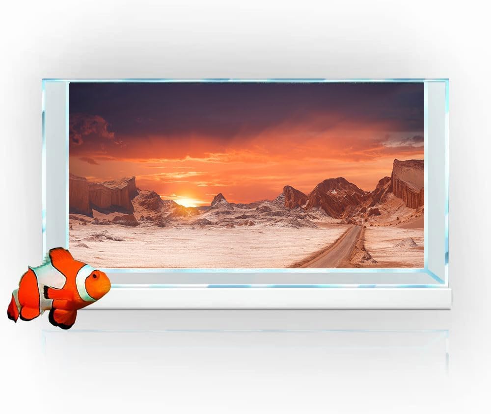 48X18IN Sun and Desert Moon Themed Reptile Habitat on Orange Durable Decorative Background, Terrarium Background with 10EVA Double-Sided Tape