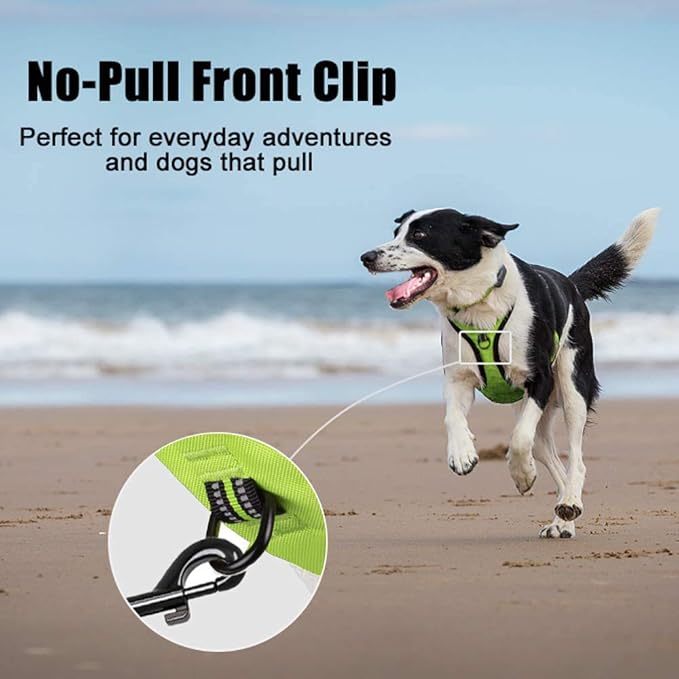 PoyPet No Pull Dog Harness, Reflective Comfortable Vest Harness with Front & Back 2 Leash Attachments and Easy Control Handle Adjustable Soft Padded Pet Vest for Small to Large Dogs (Green,XL)