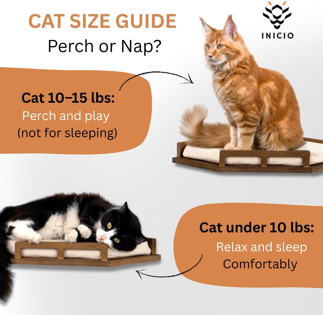 INICIO Cat Wall Shelves - Modern and Durable 3 Step Cat Furniture for Wall - Stylish Birch Floating Shelf for Cats up to 15lbs - Wooden Corner Shelves with Cushioned Perch - Brown