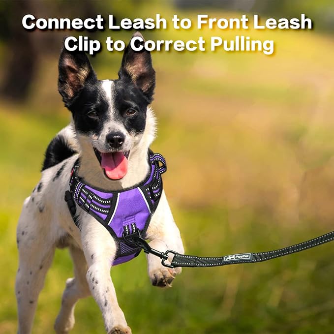 PoyPet No Pull Dog Harness, No Choke Front Clip Reflective Dog Vest with Soft Padded Vertical Handle, 3 Leash Attachments for Small Medium Large Dogs (Purple,XL)