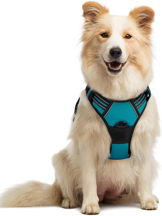 rabbitgoo Dog Harness No Pull with 2 Leash Clips, Adjustable Soft Padded, Reflective Oxford No Choke Pet Vest with Easy Control Handle for Medium Sized Dogs, Teal, M