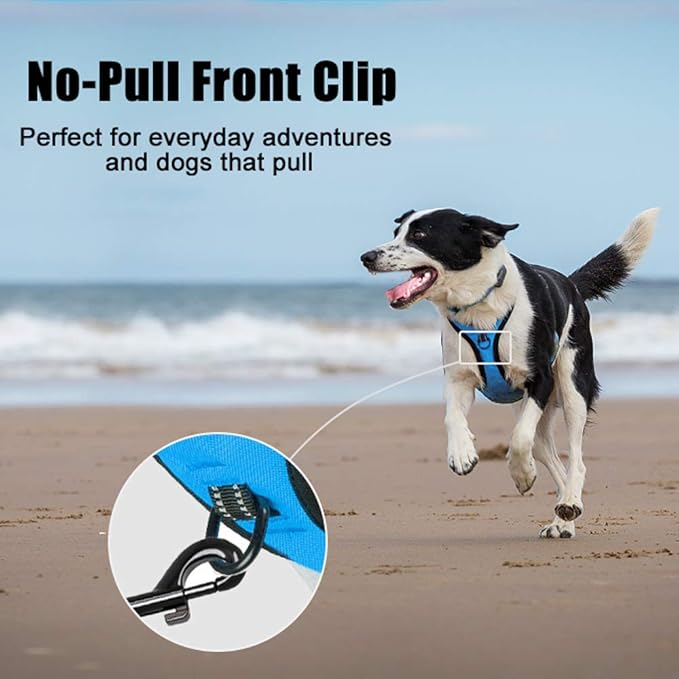 PoyPet No Pull Dog Harness, Reflective Comfortable Vest Harness with Front & Back 2 Leash Attachments and Easy Control Handle Adjustable Soft Padded Pet Vest for Small to Large Dogs (Blue,XL)