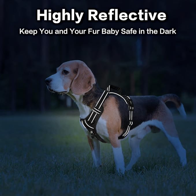 PoyPet No Pull Dog Harness, No Choke Front Clip Reflective Dog Vest with Soft Padded Vertical Handle, 3 Leash Attachments for Small Medium Large Dogs (Black,L)
