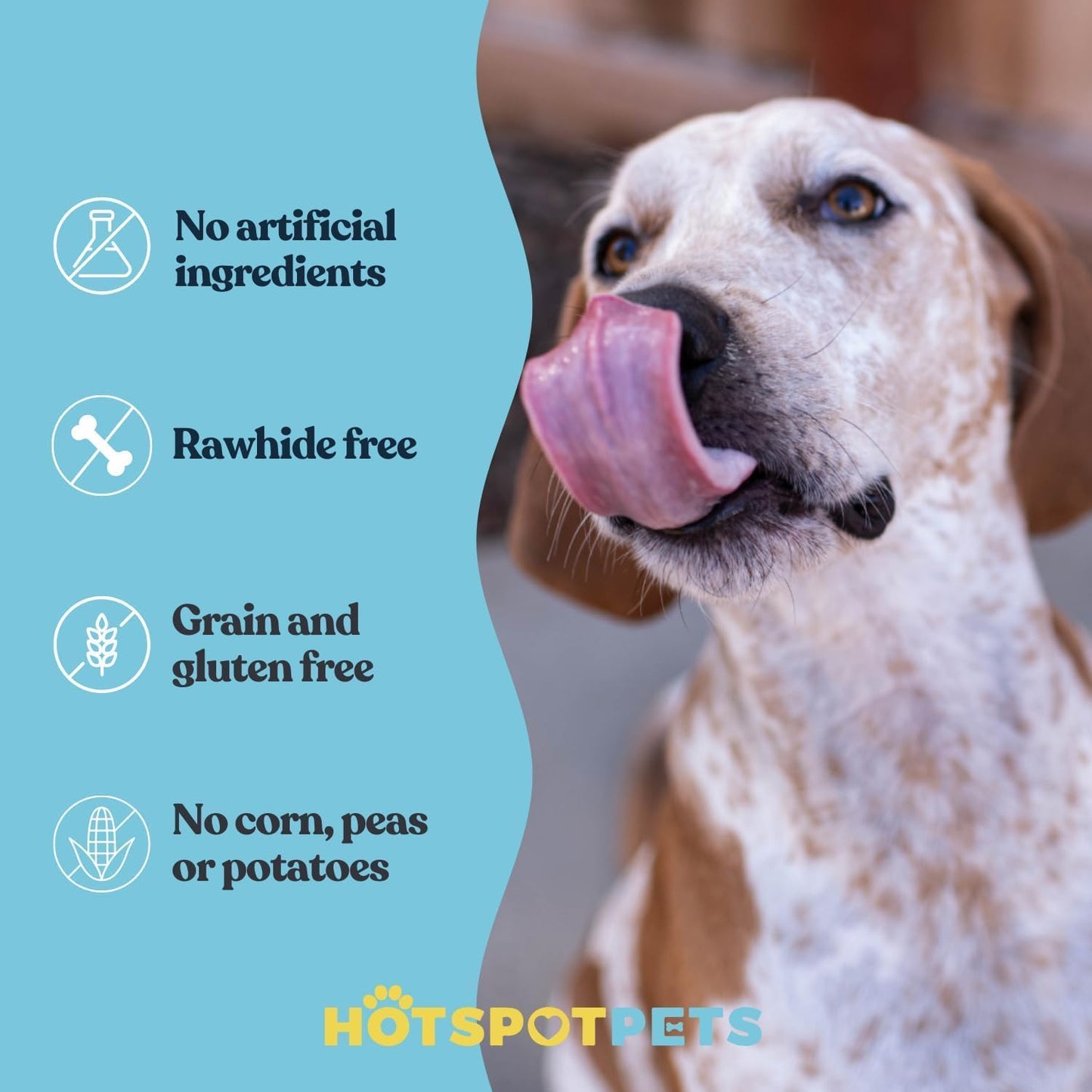 hotspot pets Freeze Dried Salmon Skin Sticks for Cats & Dogs - Reasealable 1lb Big Bag Single Ingredient All Natural Omega 3 Benefits, Salmon Sticks- Perfect for Training, Topper or Snack