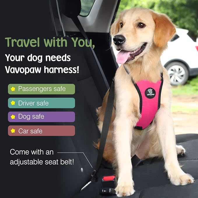 Dog Seat Belt, Safety Vest Dog Car Harness with Adjustable Buckle Dog Seat Belt for Vehicle Nylon Pet Safety Seat Belts Heavy Duty(M, Magenta)