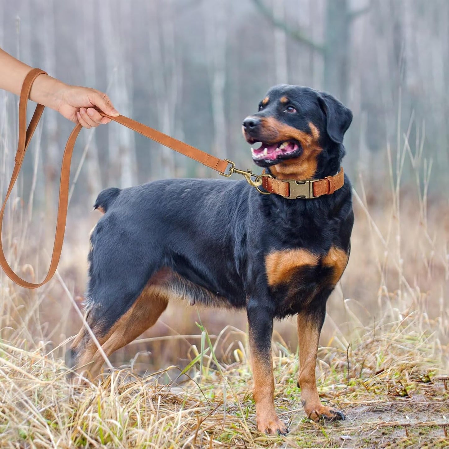Didog Soft PU Leather Dog Collar, Stylish Quick Released Dog Collars for Large Dogs, Easy Clean Adjustable Pet Collar for Daily Walking, Light Brown, XL Fit 17-27" Neck