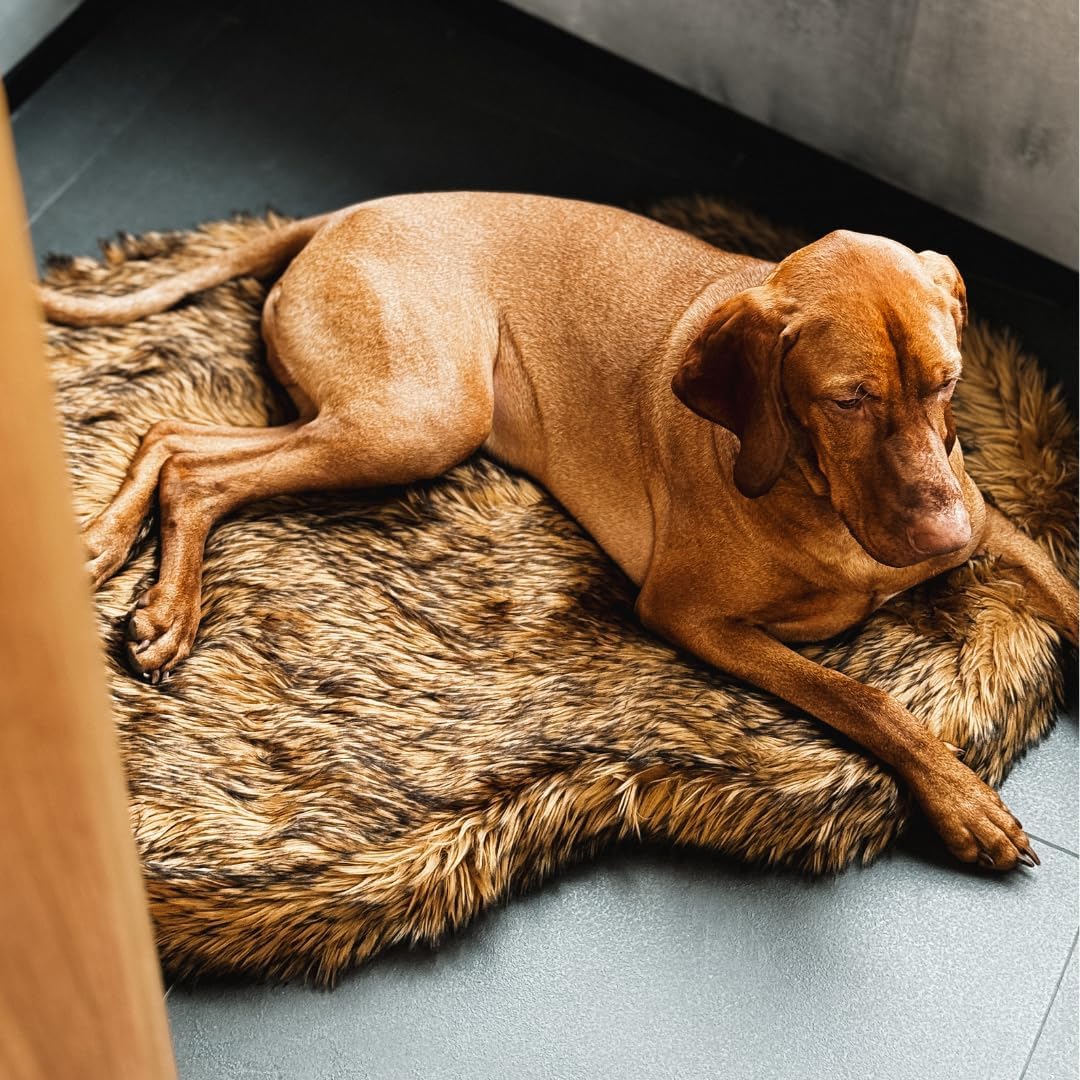 IHAPPYDOG Luxury Faux Fur Orthopedic Dog Bed, Memory Foam Dog Bed for Small, Medium, Large and XL Pets, Fluffy Pet Bed with Waterproof and Washable Cover (Brown, 50"x30")