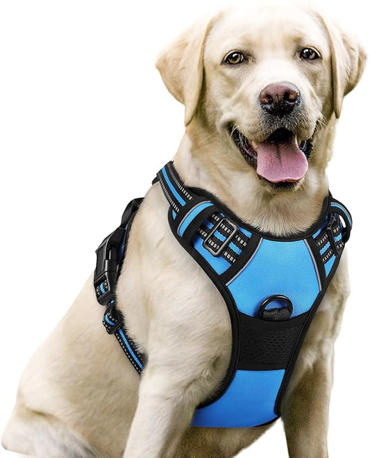 rabbitgoo Dog Harness No Pull with 2 Leash Clips, Adjustable Soft Padded, Reflective Oxford No Choke Pet Vest with Easy Control Handle for Large Dogs, Blue, L
