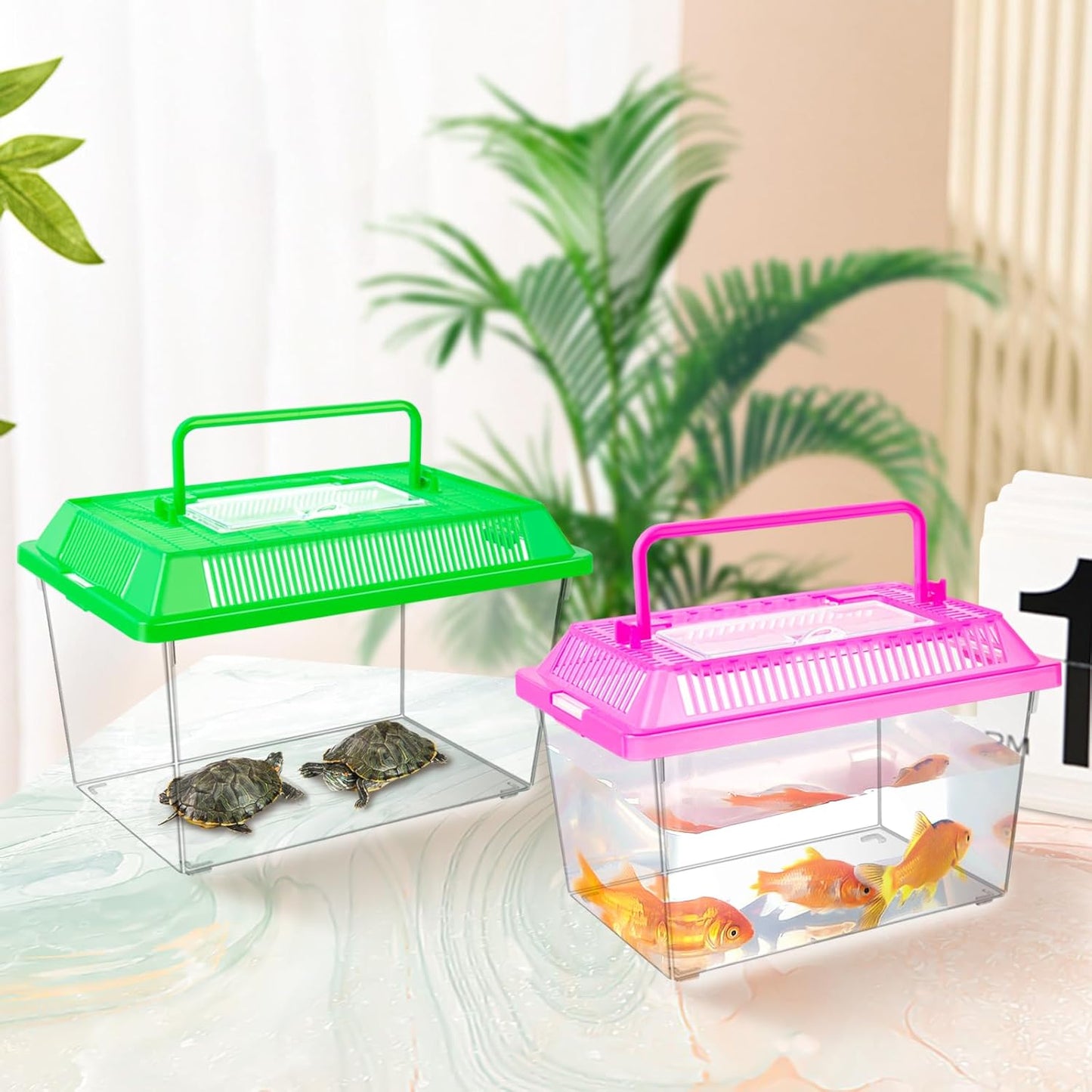 12Pcs Plastic Reptile Terrariums Carrier Cage, Tarantula Enclosure Breeding Box Hatching Container Transparent Fish Tank Turtle Aquarium with Random Color Lid for Hermit Crab, M(7" x 4.3" x 4.3")