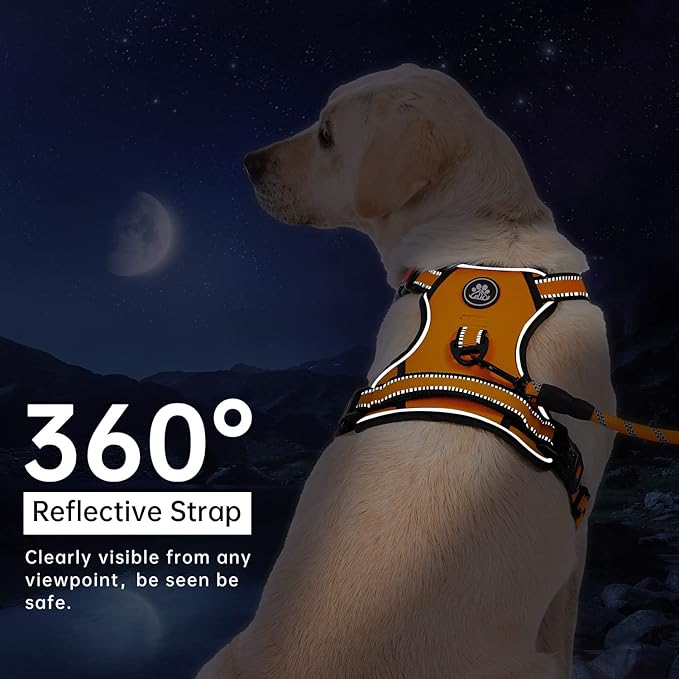 IVY&LANE No Pull Dog Harness for Large Dogs, Dog Vest Harness with Leash, Safety Belt and Storage Strap, Fully Adjustable Harness, 360° Reflective Strip, Soft Handle (Orange, L)