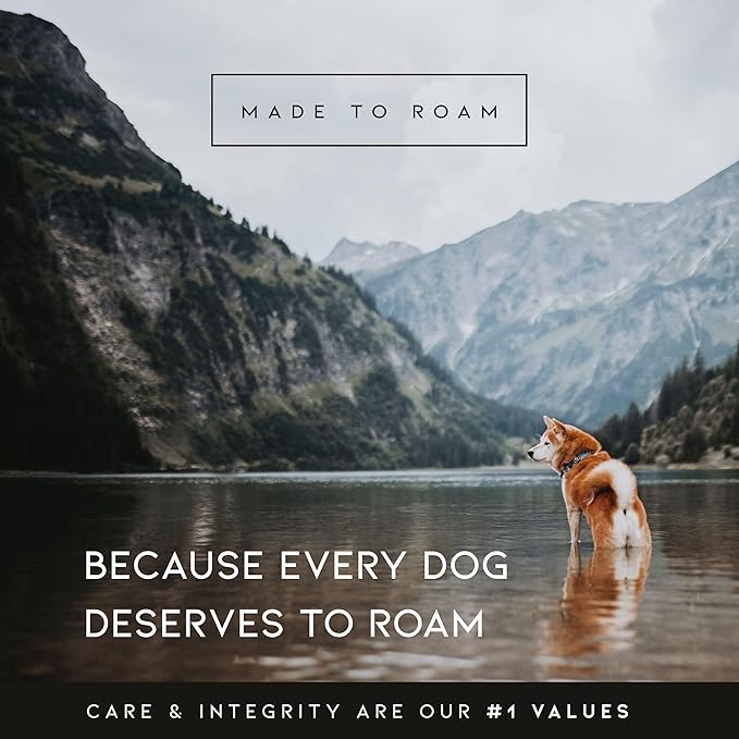 MADE TO ROAM Premium Explorer Harness - Y-Shaped Dog Harness with Adjustable Durable Nylon, Soft Padding, Metal Buckles and Leather Handle for Small, Medium, Large Dogs (Montana Moonrise, Size 1)