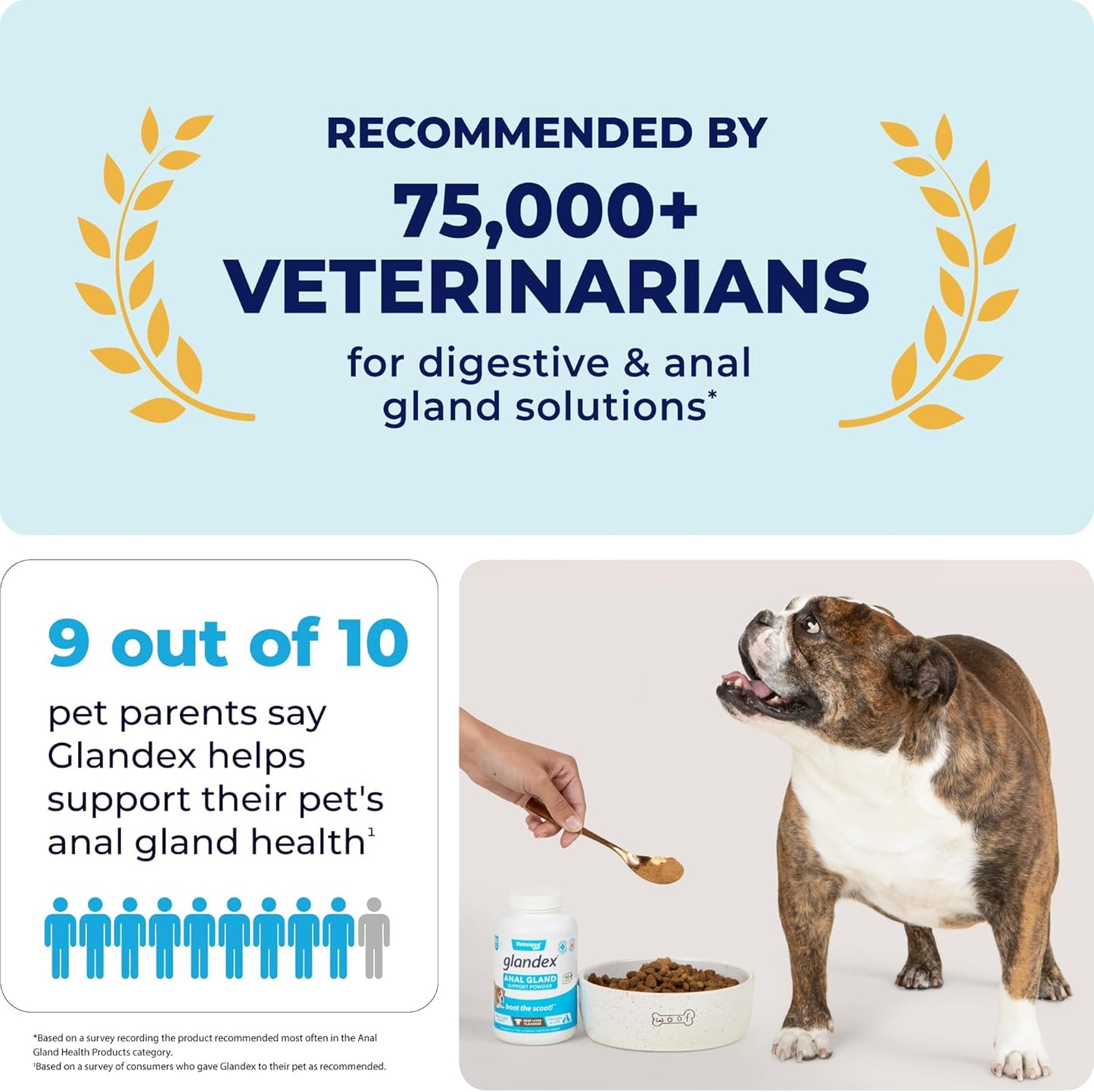 Glandex Dog Fiber Supplement Powder for Anal Glands with Pumpkin, Digestive Enzymes & Probiotics - Vet Recommended (Regular or Advanced Strength) - Boot The Scoot (5.5 oz, Vegan Salmon)