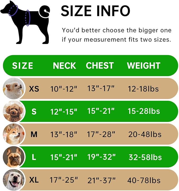 IVY&LANE No Pull Dog Harness for Large Dogs, Dog Vest Harness with Leash, Safety Belt and Storage Strap, Fully Adjustable Harness, 360° Reflective Strip, Soft Handle (Green, XL)