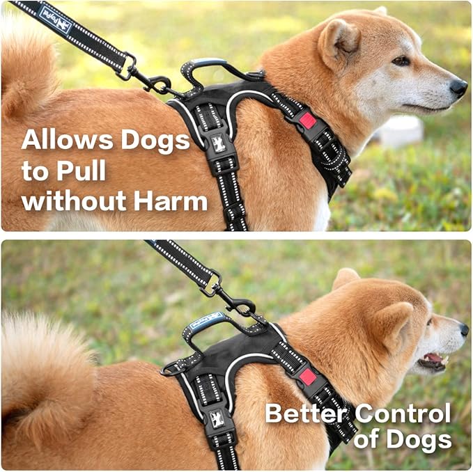 PoyPet No Pull Dog Harness, No Choke Front Clip Reflective Dog Vest with Soft Padded Vertical Handle, 3 Leash Attachments for Small Medium Large Dogs (Black,L)