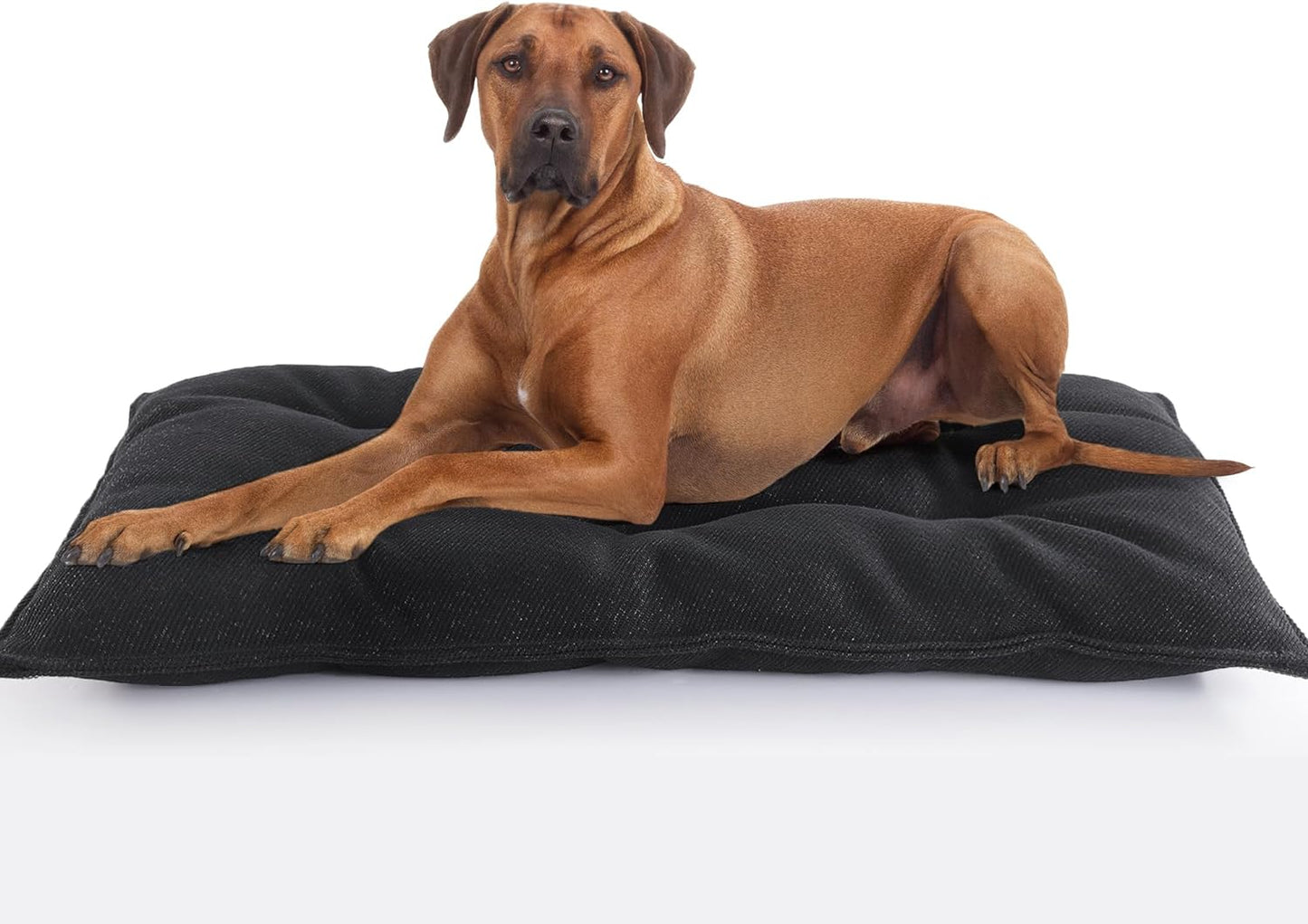 MABOZOO Dog Bed, Indestructible Chew Proof Pet Bed Mat, Durable Polyester, Large 35x22 inches, Black, for Aggressive Chewers, Crate Pad, Machine Washable