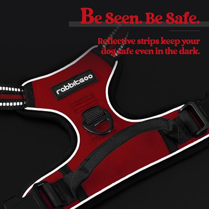 rabbitgoo Dog Harness No Pull with 2 Leash Clips, Adjustable Soft Padded, Reflective Oxford No Choke Pet Vest with Easy Control Handle for Small Dogs, Red, S