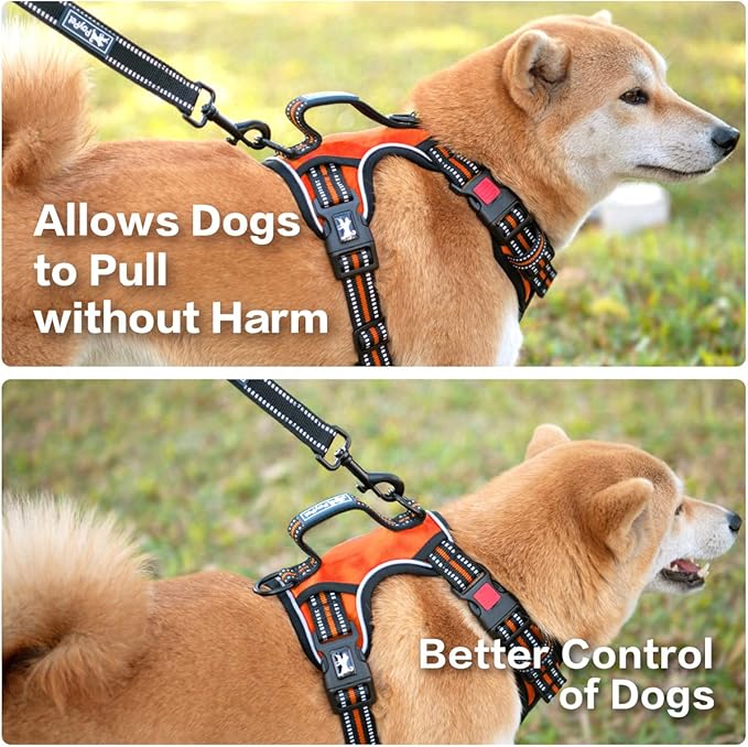 PoyPet No Pull Dog Harness, No Choke Front Clip Reflective Dog Vest with Soft Padded Vertical Handle, 3 Leash Attachments for Small Medium Large Dogs (Orange,M)