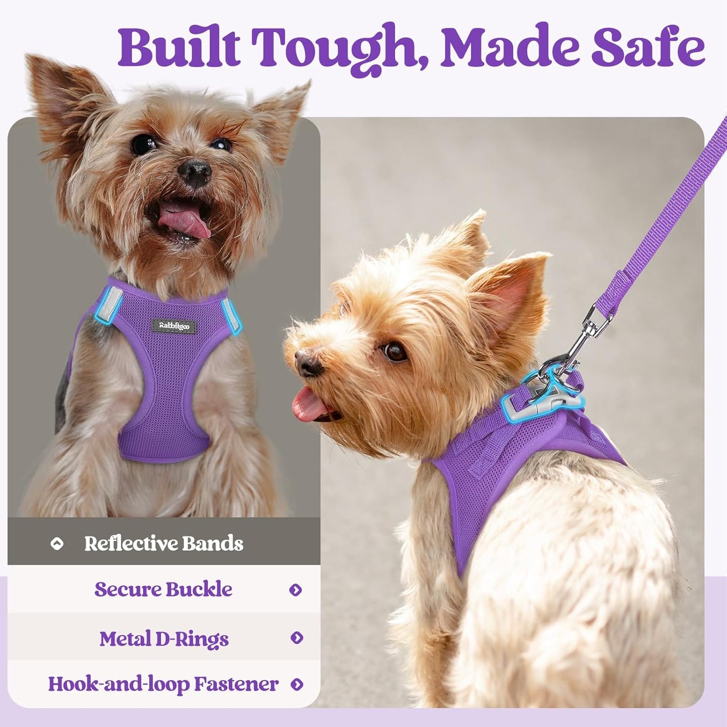 rabbitgoo Dog Harness Small Sized and Leash Set, Step in Soft Light Puppy Vest, Breathable Mesh Pet Harness, Reflective for Outdoor Safe Walking, Purple XXXS