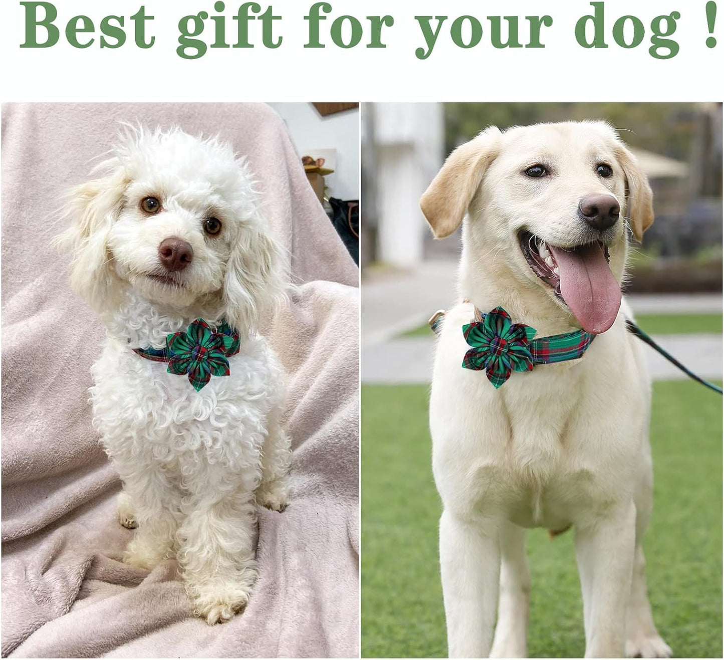 Unique style paws Dog Collar with Flower Tie Christmas Dog Collar for Small Medium Large Dogs with Adjustable Metal Buckle -L