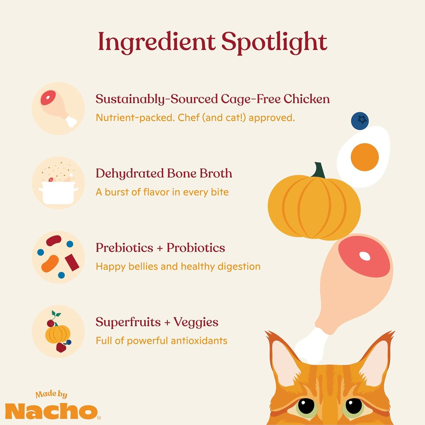 Made by Nacho Dry Cat Kibble 11lb Bag, High Protein and Grain-Friendly Premium Cat Food, Cage-Free Chicken & Pumpkin Recipe, Infused with Bone Broth for Hydration, Limited Ingredients, Single Bag